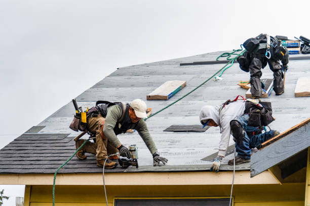 Professional Gutter Installation technician working in Hutchinson, MN